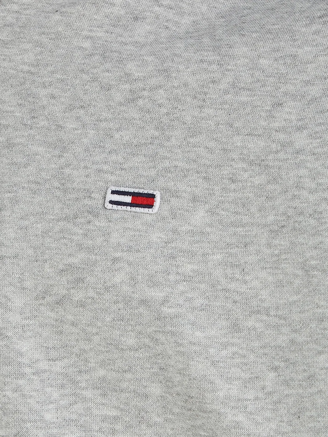 Tommy Jeans TJM Regular Zipper Hoodie grau Sweat